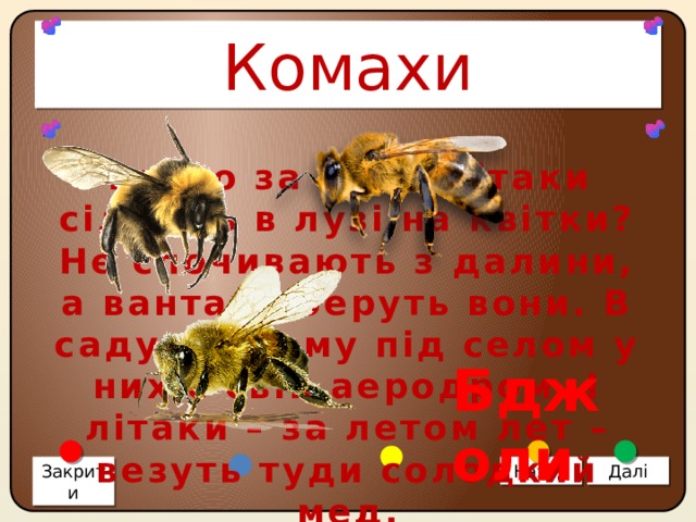 Комахи То що за диво-літаки сідають в лузі на квітки? Не спочивають з далини, а вантажі беруть вони. В саду старому під селом у них є свій аеродром. І літаки – за летом лет – везуть туди солодкий мед. Бджоли Закрити Назад Далі 