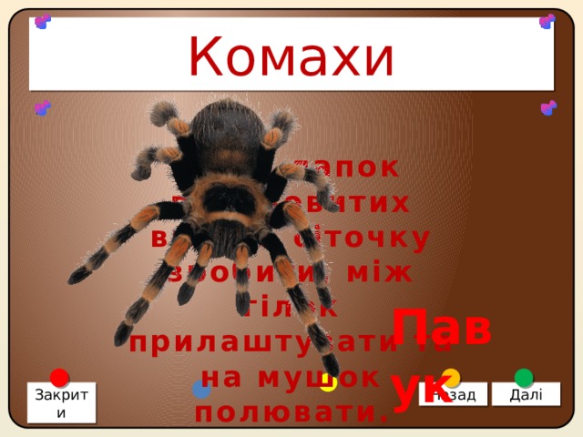Комахи Вісім лапок працьовитих вміють сіточку зробити, між гілок прилаштувати та на мушок полювати. Павук Закрити Назад Далі 