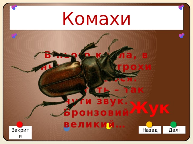 Комахи В нього крила, в нього вуса, трохи я його боюся. Як летить – так чути звук. Бронзовий великий… Жук Закрити Назад Далі 