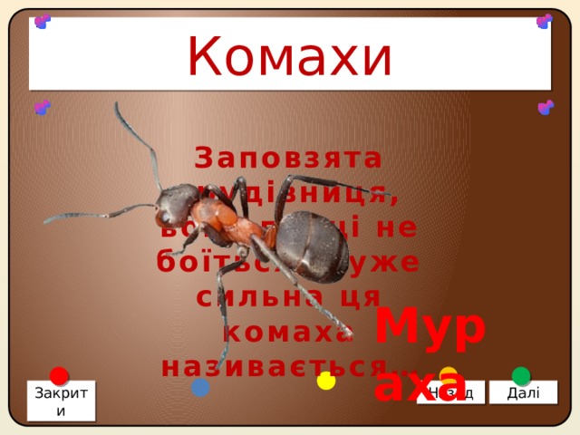 Комахи Заповзята трудівниця, вона праці не боїться. Дуже сильна ця комаха називається… Мураха Закрити Назад Далі 