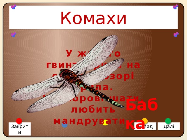 Комахи У живого гвинтокрила на спині прозорі крила. Кольорові шати, любить мандрувати. Бабка Закрити Назад Далі 