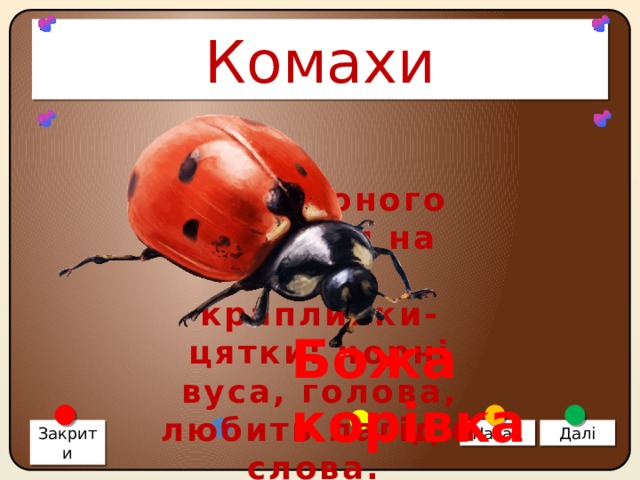 Комахи У червоного малятки на спині краплинки-цятки: чорні вуса, голова, любить лагідні слова. Божа корівка Закрити Назад Далі 