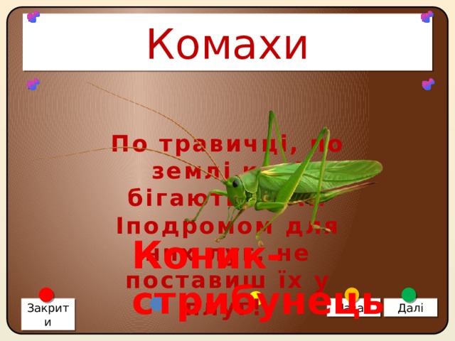 Комахи По травичці, по землі коні бігають малі. Іподромом для них луг, не поставиш їх у плуг! Коник-стрибунець Закрити Назад Далі 
