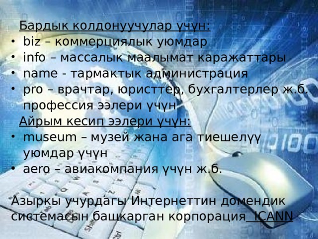 Бардык колдонуучулар үчүн: biz – коммерциялык уюмдар info – массалык маалымат каражаттары name - тармактык администрация pro – врачтар, юристтер, бухгалтерлер ж.б. профессия ээлери үчүн Айрым кесип ээлери үчүн: museum – музей жана ага тиешелүү уюмдар үчүн aero – авиакомпания үчүн ж.б.   Азыркы учурдагы Интернеттин домендик системасын башкарган корпорация ICANN  