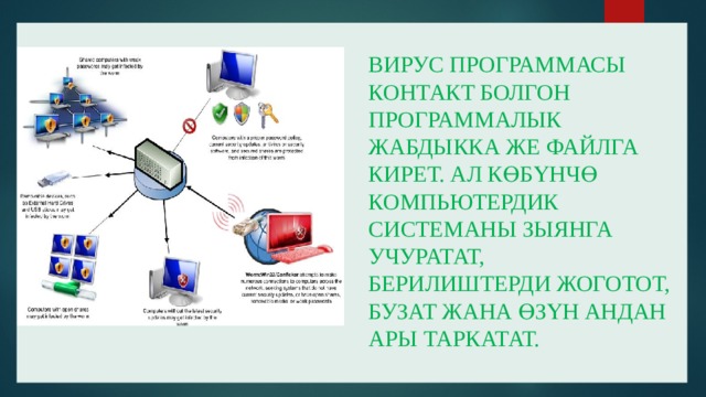Вирус программасы контакт болгон программалык жабдыкка же файлга кирет. Ал көбүнчө компьютердик системаны зыянга учуратат, берилиштерди жоготот, бузат жана өзүн андан ары таркатат. 