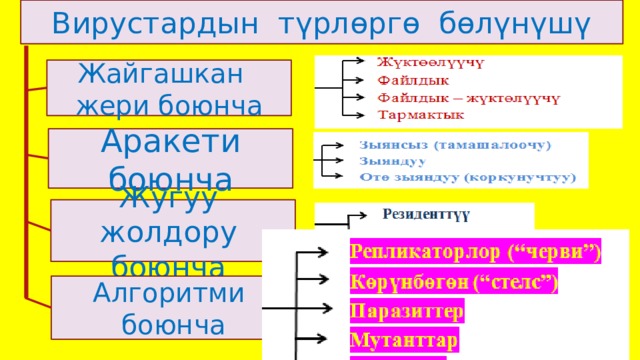 Вирустардын түрлөргө бөлүнүшү Жайгашкан жери боюнча Аракети боюнча Жугуу жолдору боюнча Алгоритми боюнча 