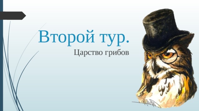 Второй тур. Царство грибов 