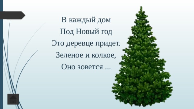 В каждый дом Под Новый год Это деревце придет. Зеленое и колкое, Оно зовется ... 