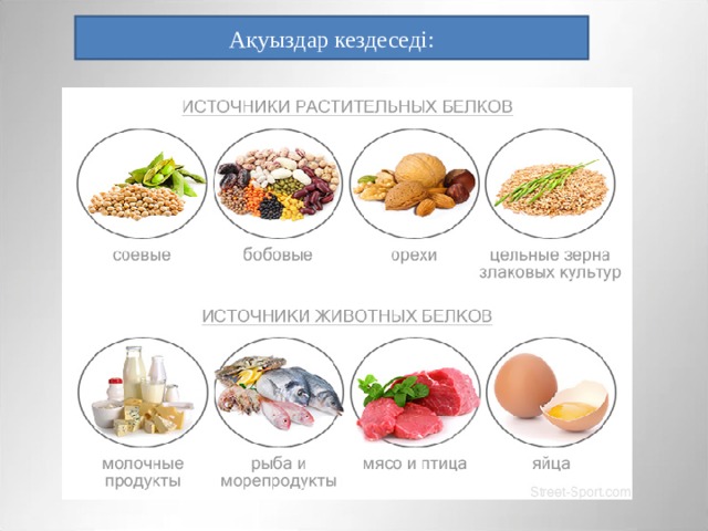 Ақуыздар кездеседі: 