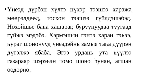 Үнеэ д дүрбэн хүлт э н үхэр тээшээ хаража мөөрэлдөөд, тосхон тээшээ гүйлдэшэбэд. Нохойшье баһа хашараг, буруунуудаа туугаад гүйжэ мэдэбэ. Хэрмэш ын гэнтэ харан гэһээ, һүрэг шононууд үнеэдэйнь замые таһа дүүрэн дүтэлжэ ябаба. Эгээ урдань ута һүүлээ газараар шэрэһэн томо шоно hунан, агшан оодорно.  