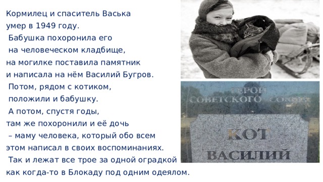 Кормилец и спаситель Васька умер в 1949 году.  Бабушка похоронила его  на человеческом кладбище, на могилке поставила памятник и написала на нём Василий Бугров.  Потом, рядом с котиком,  положили и бабушку.  А потом, спустя годы, там же похоронили и её дочь – маму человека, который обо всем этом написал в своих воспоминаниях.  Так и лежат все трое за одной оградкой как когда-то в Блокаду под одним одеялом. 