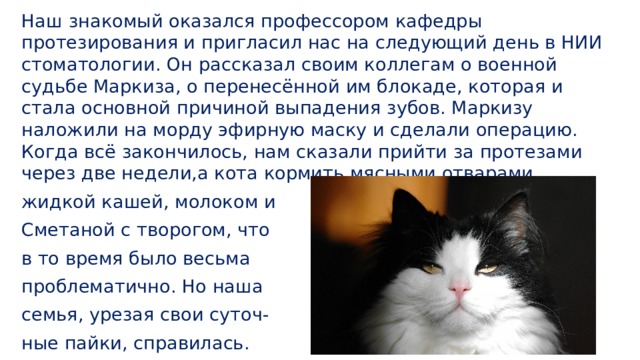 Наш знакомый оказался профессором кафедры протезирования и пригласил нас на следующий день в НИИ стоматологии. Он рассказал своим коллегам о военной судьбе Маркиза, о перенесённой им блокаде, которая и стала основной причиной выпадения зубов. Маркизу наложили на морду эфирную маску и сделали операцию. Когда всё закончилось, нам сказали прийти за протезами через две недели,а кота кормить мясными отварами, жидкой кашей, молоком и Сметаной с творогом, что в то время было весьма проблематично. Но наша семья, урезая свои суточ- ные пайки, справилась. 