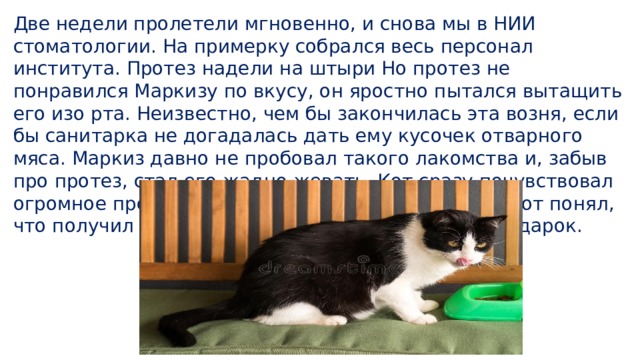 Две недели пролетели мгновенно, и снова мы в НИИ стоматологии. На примерку собрался весь персонал института. Протез надели на штыри Но протез не понравился Маркизу по вкусу, он яростно пытался вытащить его изо рта. Неизвестно, чем бы закончилась эта возня, если бы санитарка не догадалась дать ему кусочек отварного мяса. Маркиз давно не пробовал такого лакомства и, забыв про протез, стал его жадно жевать. Кот сразу почувствовал огромное преимущество нового приспособления. кот понял, что получил самый драгоценный в своей жизни подарок. 