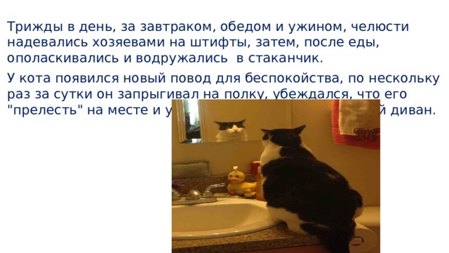 Трижды в день, за завтраком, обедом и ужином, челюсти надевались хозяевами на штифты, затем, после еды, ополаскивались и водружались в стаканчик. У кота появился новый повод для беспокойства, по нескольку раз за сутки он запрыгивал на полку, убеждался, что его 