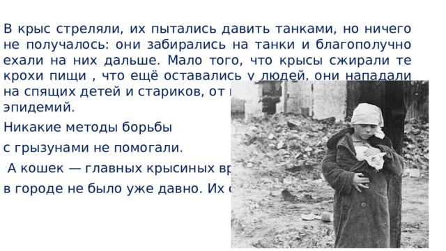 В крыс стреляли, их пытались давить танками, но ничего не получалось: они забирались на танки и благополучно ехали на них дальше. Мало того, что крысы сжирали те крохи пищи , что ещё оставались у людей, они нападали на спящих детей и стариков, от них ещё появилась угроза эпидемий. Никакие методы борьбы с грызунами не помогали.  А кошек — главных крысиных врагов — в городе не было уже давно. Их съели. 