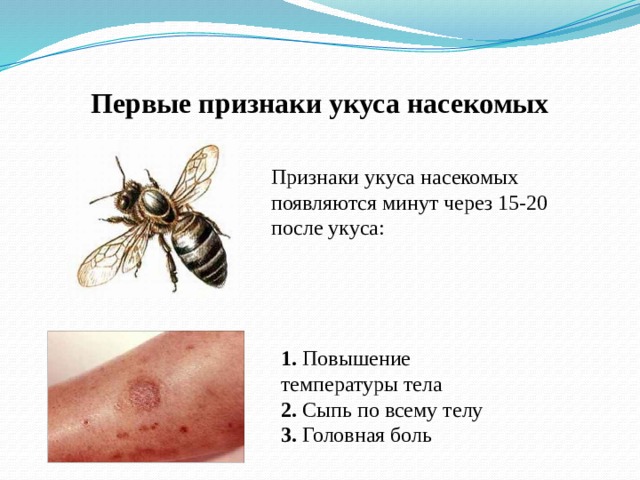 Первые признаки укуса насекомых Признаки укуса насекомых появляются минут через 15-20 после укуса:   1. Повышение температуры тела 2. Сыпь по всему телу 3. Головная боль 