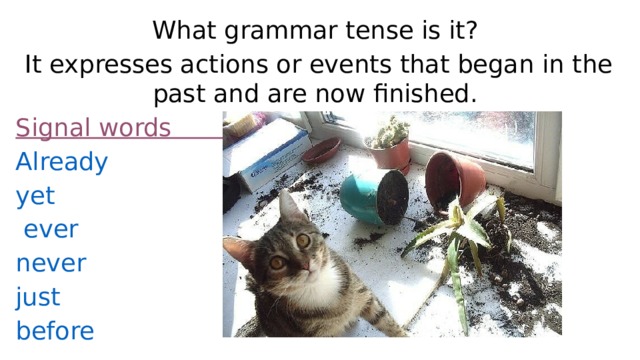 What grammar tense is it? It expresses actions or events that began in the past and are now finished. Signal words Already yet   ever  never  just  before 