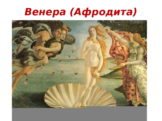 Венера (Афродита) 