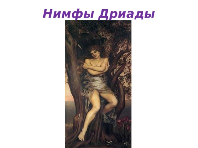 Нимфы Дриады 