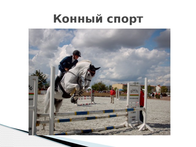 Конный спорт 