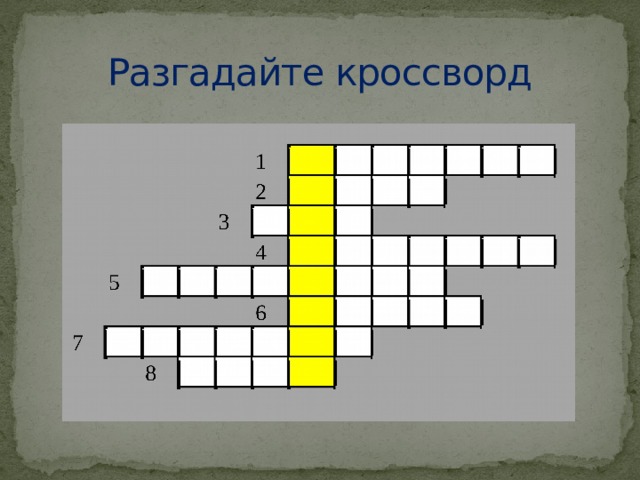 Что общего у покровов всех животных