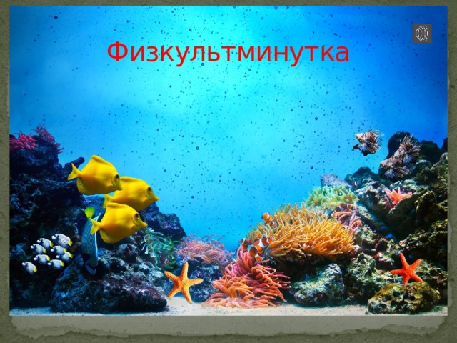 Физкультминутка 