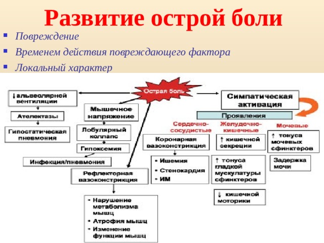 Развитие острой боли  Повреждение Временем действия повреждающего фактора Локальный характер  Развитие острой боли непосредственно связано с повреждением поверхностных или глубоких тканей. Длительность острой боли определяется временем действия повреждающего фактора. Таким образом, острая боль является сенсорной реакцией с последующим включением эмоционально-мотивационных, вегетативно-эндокринных, поведенческих факторов, возникающих при нарушениях целостности организма. Острые боли чаще всего носят локальный характер, хотя интенсивность и особенности болевых ощущений даже при сходном местном патологическом процессе, вызвавшим их, могут быть различны.  