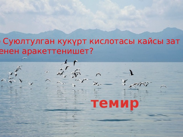 Суюлтулган кукүрт кислотасы кайсы зат менен аракеттенишет? темир 