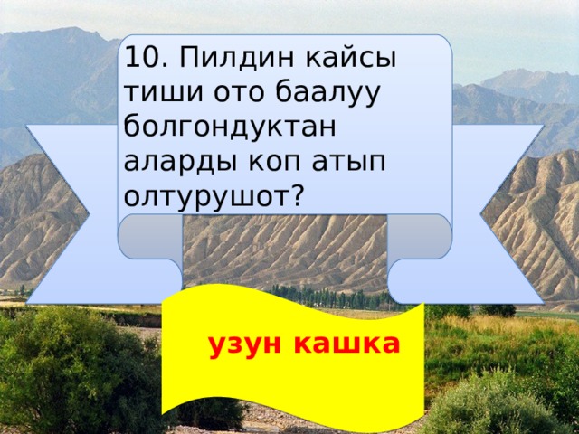 10. Пилдин кайсы тиши ото баалуу болгондуктан аларды коп атып олтурушот?  узун кашка  
