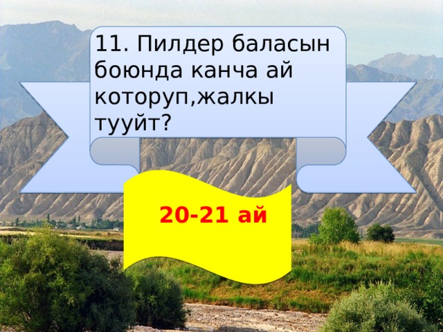 11. Пилдер баласын боюнда канча ай которуп,жалкы тууйт?  20-21 ай  