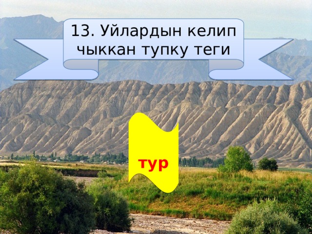 13. Уйлардын келип чыккан тупку теги  тур 