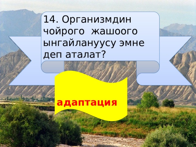 14. Организмдин чойрого жашоого ынгайлануусу эмне деп аталат?  адаптация 
