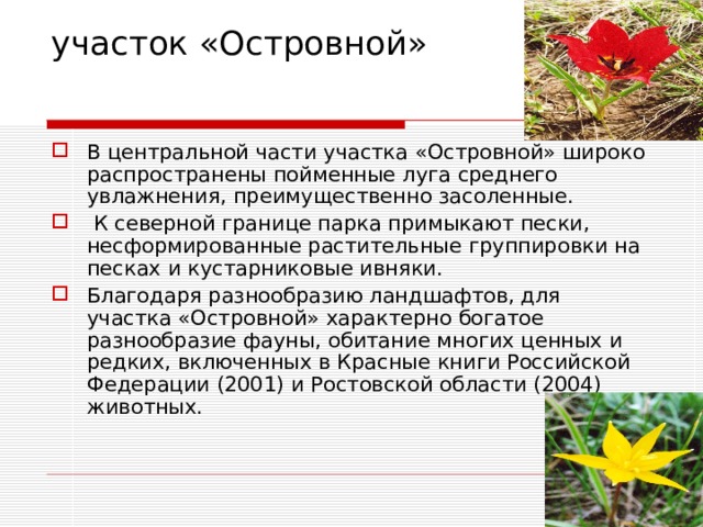 участок «Островной» В центральной части участка «Островной» широко распространены пойменные луга среднего увлажнения, преимущественно засоленные.  К северной границе парка примыкают пески, несформированные растительные группировки на песках и кустарниковые ивняки. Благодаря разнообразию ландшафтов, для участка «Островной» характерно богатое разнообразие фауны, обитание многих ценных и редких, включенных в Красные книги Российской Федерации (2001) и Ростовской области (2004) животных. 