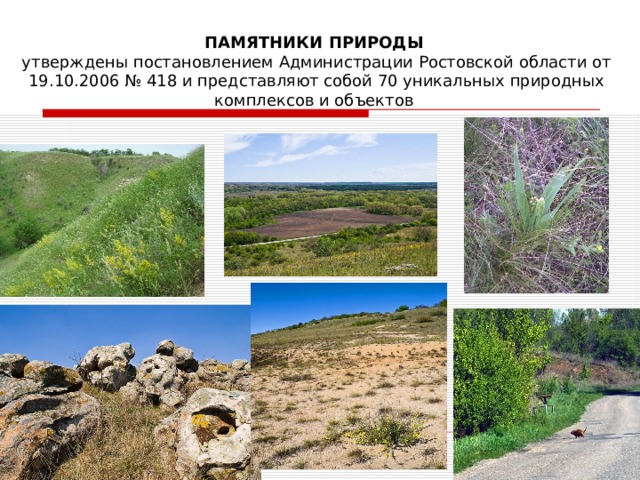  ПАМЯТНИКИ ПРИРОДЫ  утверждены постановлением Администрации Ростовской области от 19.10.2006 № 418 и представляют собой 70 уникальных природных комплексов и объектов 