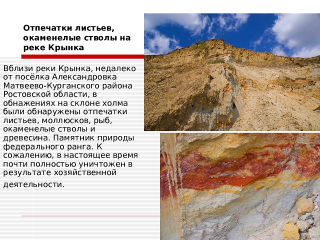 Отпечатки листьев, окаменелые стволы на реке Крынка Вблизи реки Крынка, недалеко от посёлка Александровка Матвеево-Курганского района Ростовской области, в обнажениях на склоне холма были обнаружены отпечатки листьев, моллюсков, рыб, окаменелые стволы и древесина. Памятник природы федерального ранга. К сожалению, в настоящее время почти полностью уничтожен в результате хозяйственной деятельности.  