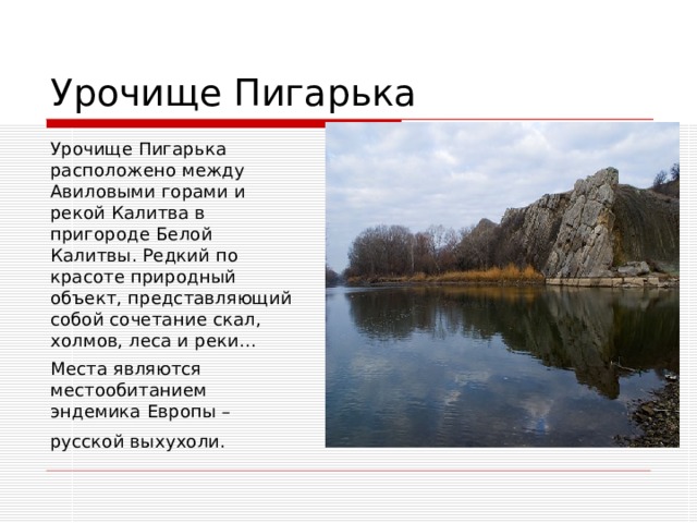 Урочище Пигарька Урочище Пигарька расположено между Авиловыми горами и рекой Калитва в пригороде Белой Калитвы. Редкий по красоте природный объект, представляющий собой сочетание скал, холмов, леса и реки... Места являются местообитанием эндемика Европы – русской выхухоли.  