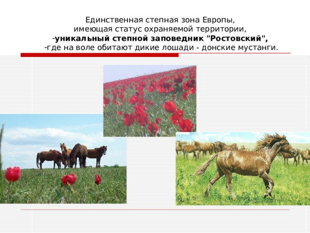 Единственная степная зона Европы, имеющая статус охраняемой территории, уникальный степной заповедник 