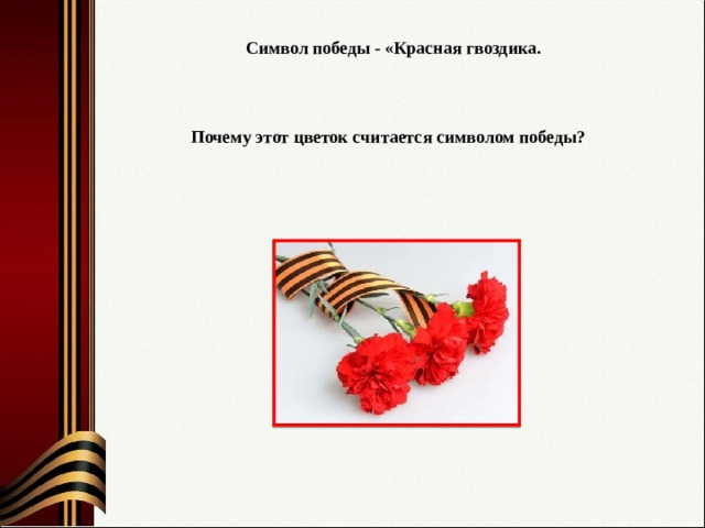 Символ победы - «Красная гвоздика. Почему этот цветок считается символом победы? 
