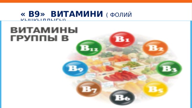« В9» витамини ( фолий кычкылдыгы) 