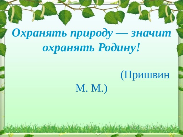 какие деревья растут в донецкой области. Смотреть фото какие деревья растут в донецкой области. Смотреть картинку какие деревья растут в донецкой области. Картинка про какие деревья растут в донецкой области. Фото какие деревья растут в донецкой области