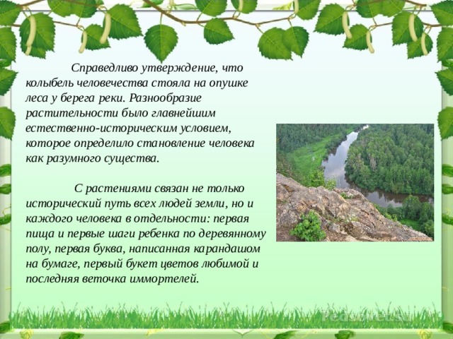 какие деревья растут в донецкой области. Смотреть фото какие деревья растут в донецкой области. Смотреть картинку какие деревья растут в донецкой области. Картинка про какие деревья растут в донецкой области. Фото какие деревья растут в донецкой области