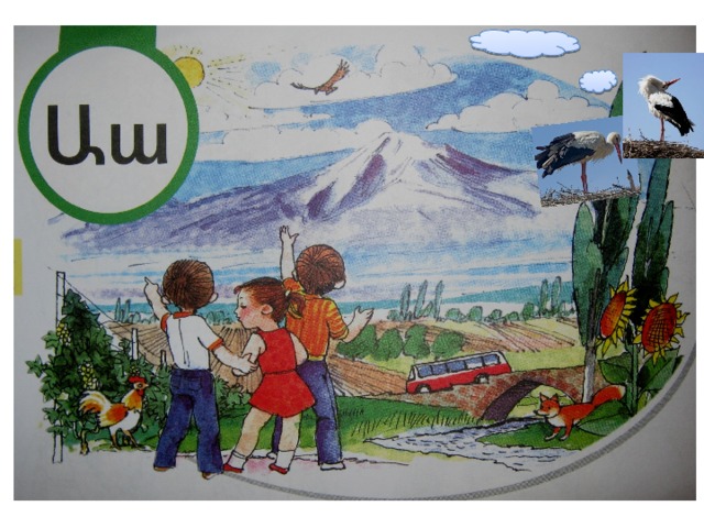 Առաջին դասը արագիլ բնով 