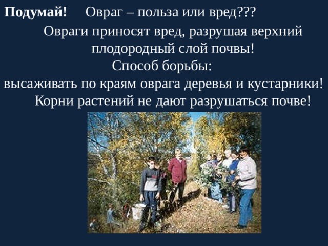 Подумай! Овраг – польза или вред???  Овраги приносят вред, разрушая верхний плодородный слой почвы! Способ борьбы: высаживать по краям оврага деревья и кустарники! Корни растений не дают разрушаться почве! 