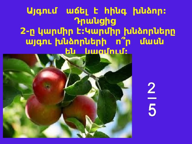  Այգում աճել է հինգ խնձոր: Դրանցից  2-ը կարմիր է:Կարմիր խնձորները այգու խնձորների ո ՞ ր մասն են կազմում:    