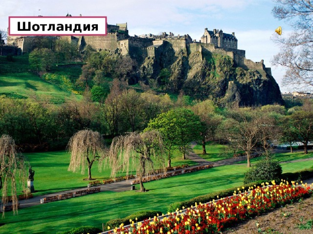  Шотландия 