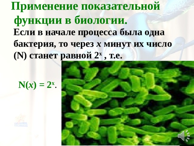 Применение показательной  функции в биологии. Если в начале процесса была одна бактерия, то через х минут их число ( N ) станет равной 2 х , т.е.     N ( х ) = 2 х . 