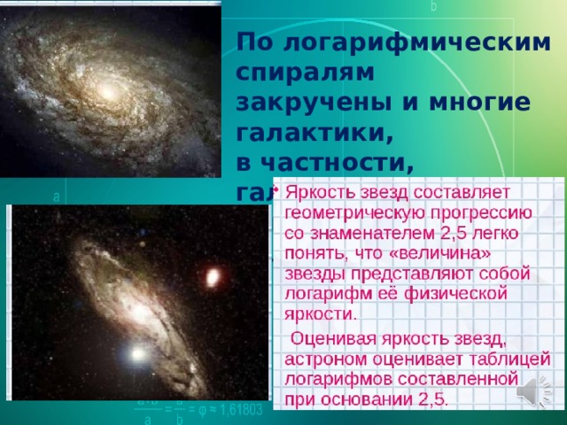 По логарифмическим спиралям закручены и многие галактики, в частности, галактика которой принадлежит Солнечная Система. Образовательный портал 
