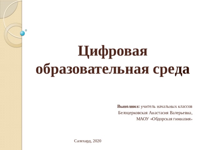 Безопасность цифровой образовательной среды. Безопасность цифровой образовательной среды