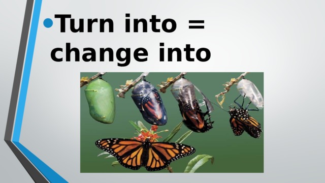 Turn into = change into 