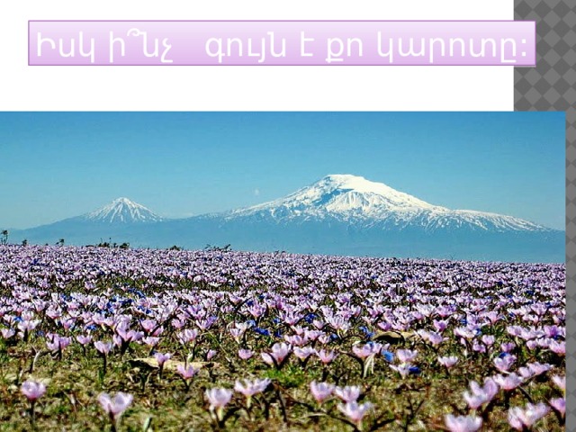 Իսկ ի ՞ նչ գույն է քո կարոտը: 